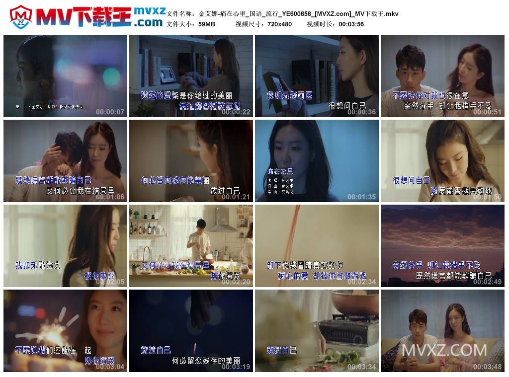 金艾娜-痛在心里_国语_流行_YE600858